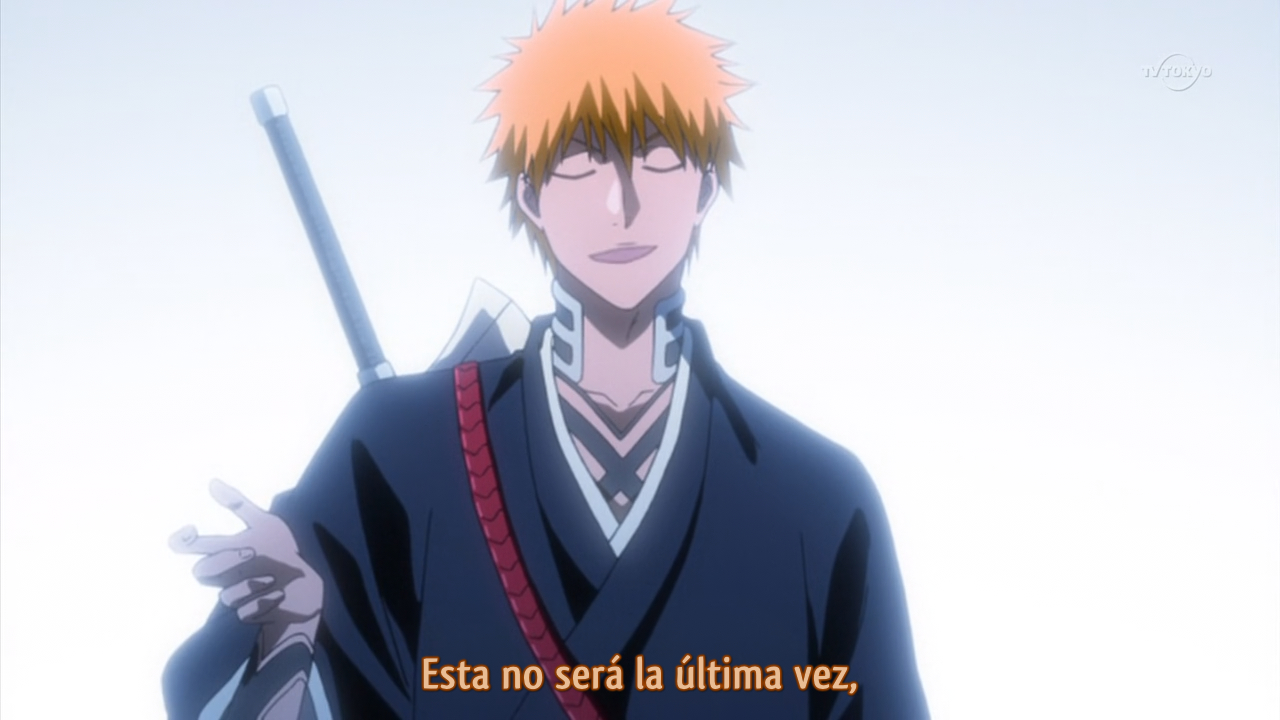 Bleach (Frozen-Layer Fansub, Xtasy no Fansub, Anifuture Fansub, Nine Tails Fansub, Seigi Tamashi, Backbeard)